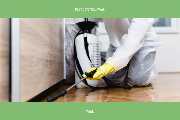 PEST CONTROL Wink